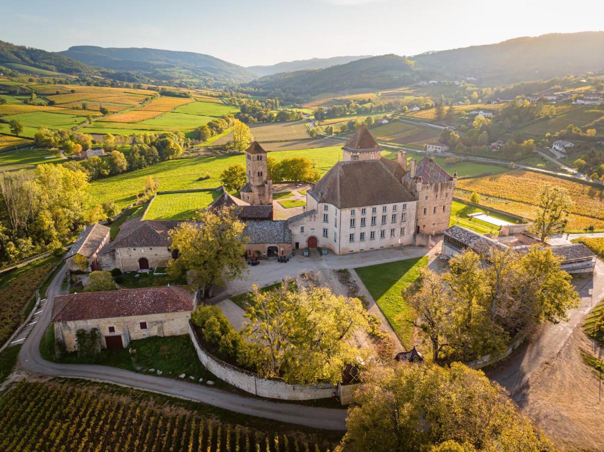 Chateau De Pierreclos Luaran gambar