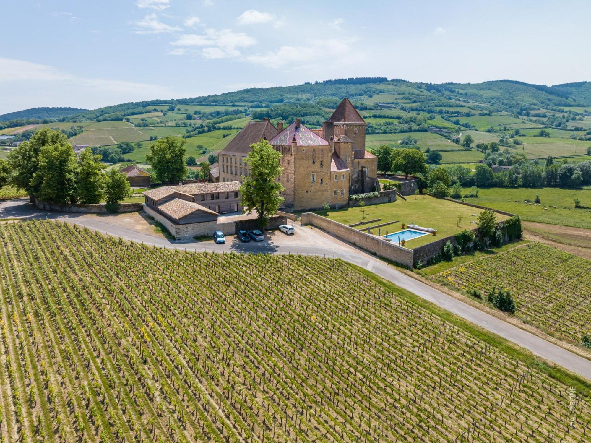 Chateau De Pierreclos Luaran gambar